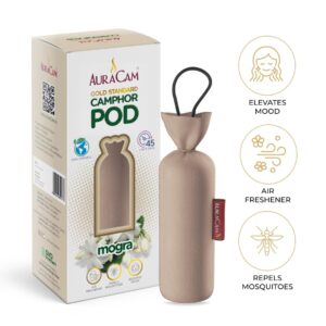 61t21YZMoPL._SL1080_