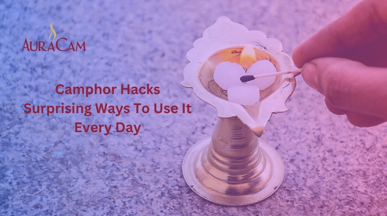 Camphor Hacks 5 Surprising Ways to Use It Every Day(01)